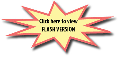 For Flash version